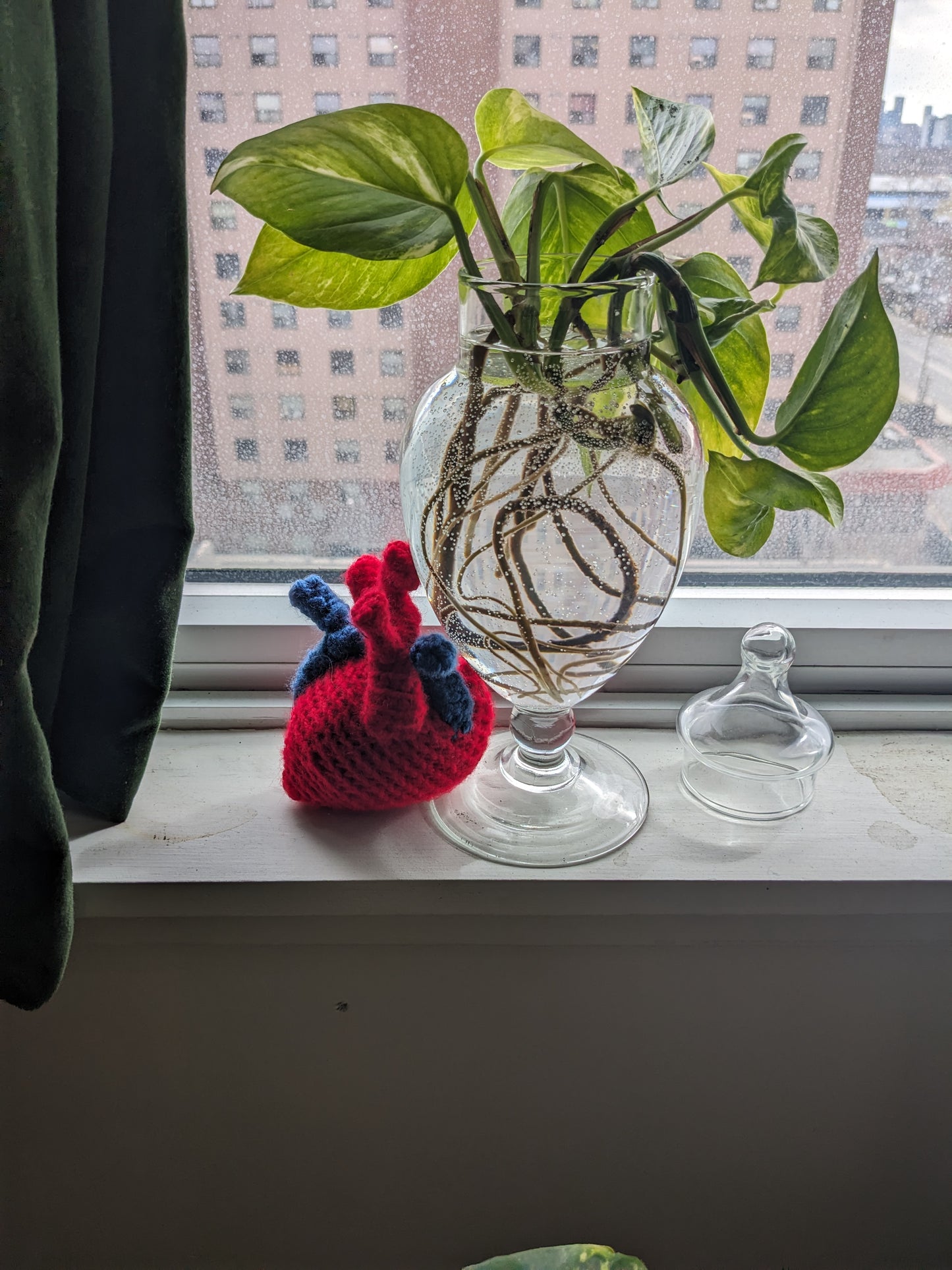 Anatomical Heart