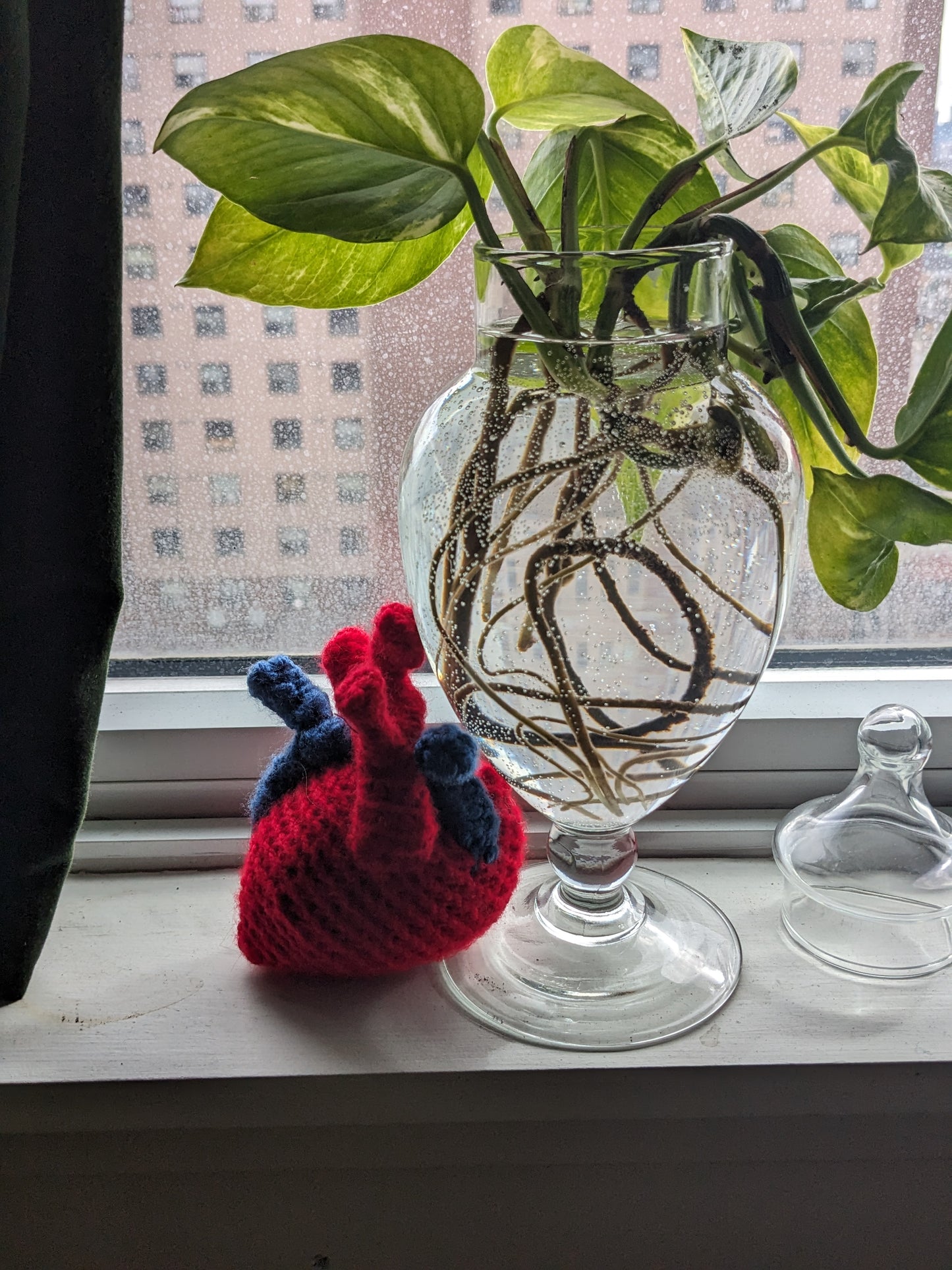 Anatomical Heart